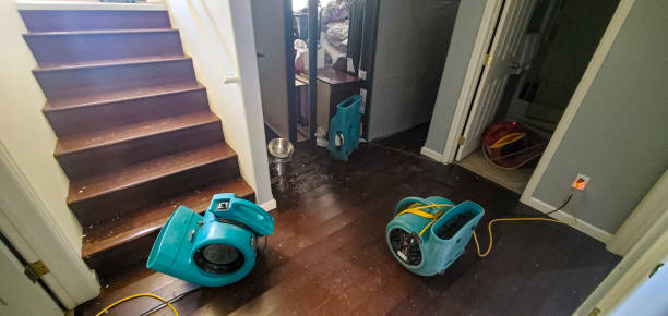 Best Professional water damage repair  in Temple Hills, MD