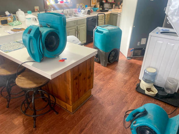 Best Water damage restoration near me  in Temple Hills, MD