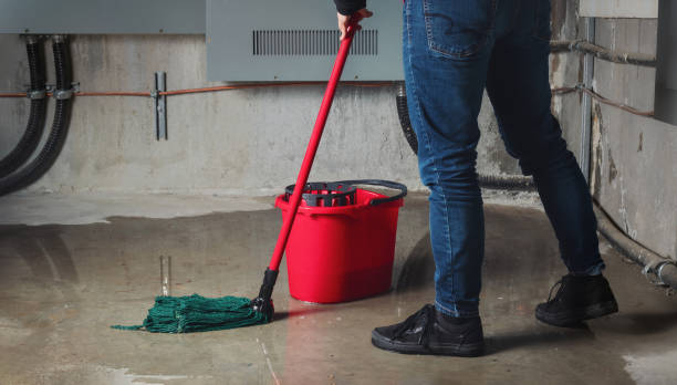 Best Commercial water damage restoration  in Temple Hills, MD