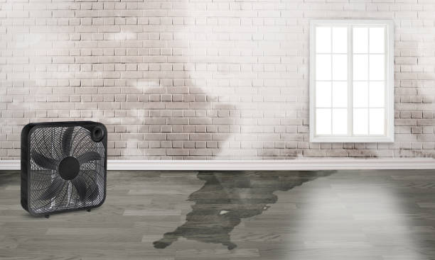 Water damage restoration experts in Temple Hills, MD