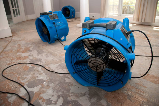 Best 24-hour water damage restoration  in Temple Hills, MD