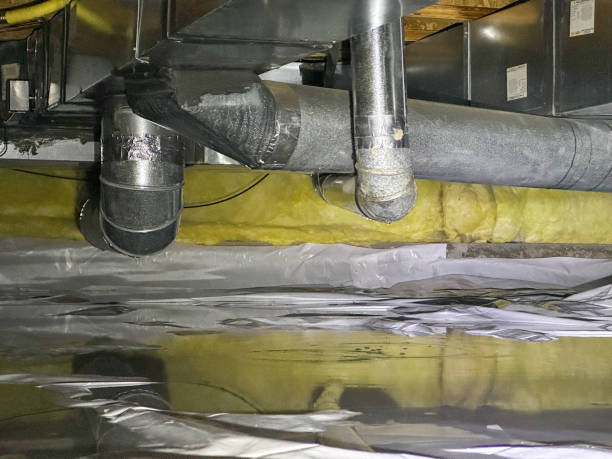 Best Ceiling water damage repair  in Temple Hills, MD