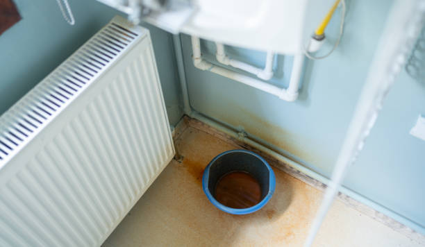Best Mold removal after water damage  in Temple Hills, MD
