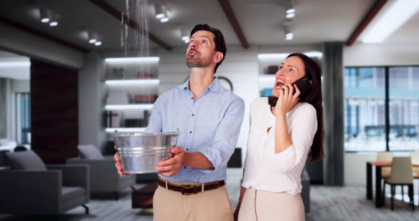 Carpet water damage restoration in Temple Hills, MD